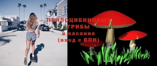 ешки Алексин