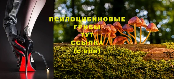 ешки Алексин