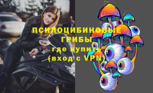 ГАЛЛЮЦИНОГЕННЫЕ ГРИБЫ Алзамай
