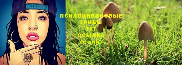 ГАЛЛЮЦИНОГЕННЫЕ ГРИБЫ Алзамай