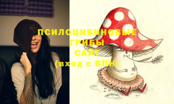 ешки Алексин