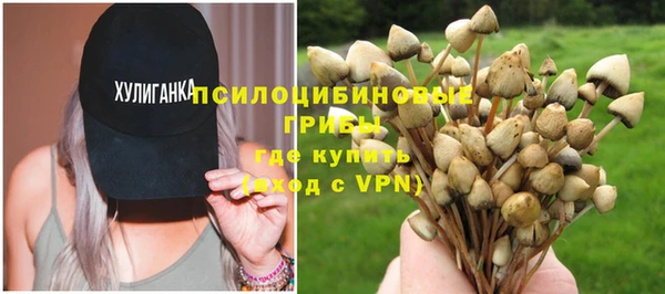 ГАЛЛЮЦИНОГЕННЫЕ ГРИБЫ Алзамай