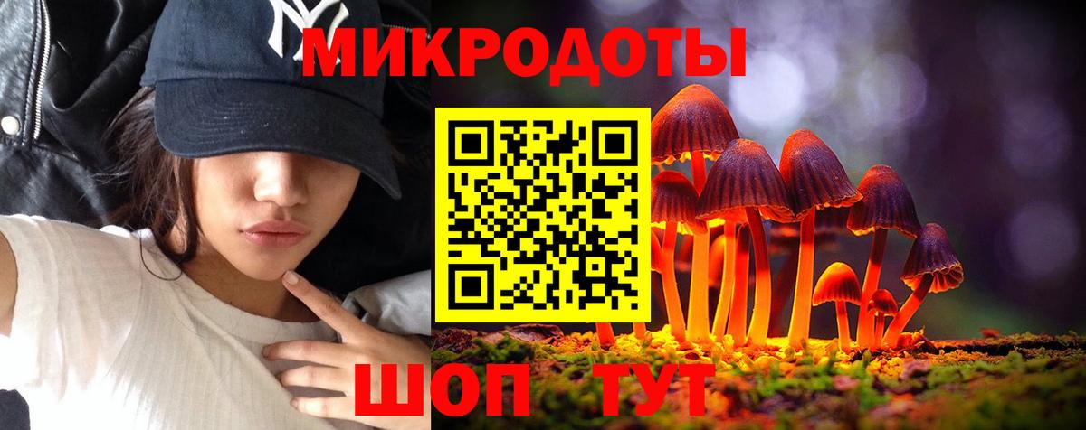 дарнет шоп  Псилоцибиновые грибы мицелий  Вход с VPN  Карабулак 