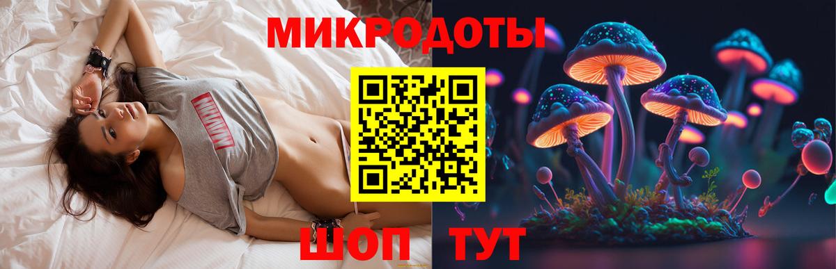 Псилоцибиновые грибы Psilocybine cubensis Карабулак